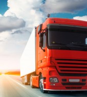 Etiam commodo convallis